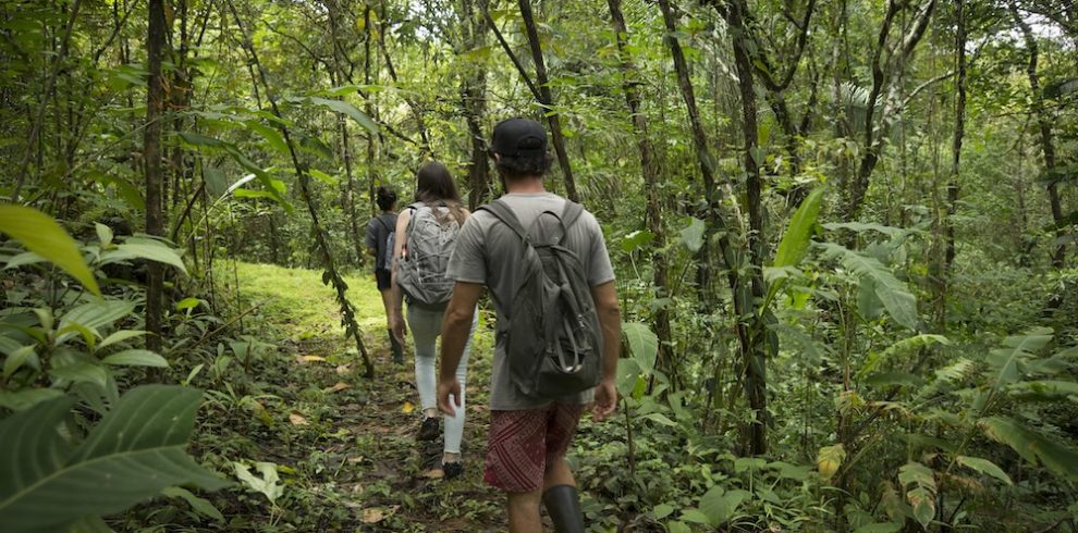 hiking-forest-jungle-panama-jungla-selva copy