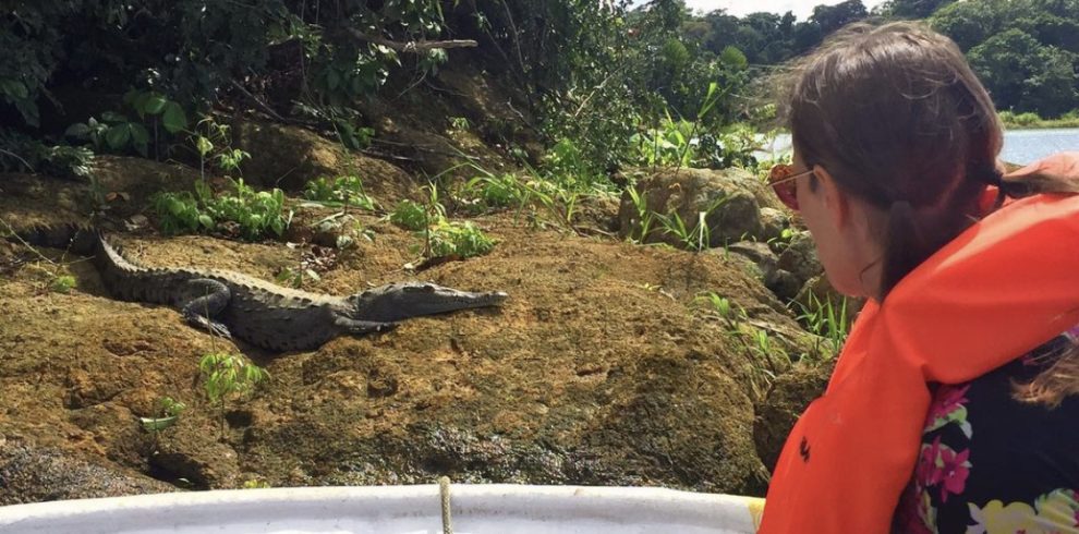 monkey-island-tour-gamboa-lake-gatun-lago-cocodrilo-crocodile